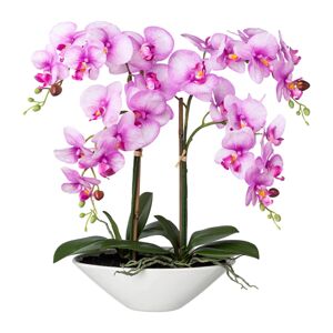 Gasper Orchidej v keramické misce, 53cm