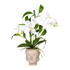 Gasper Umělá orchidej s bambusovým aranžmá v květináči Buddha, 60 cm, bílá